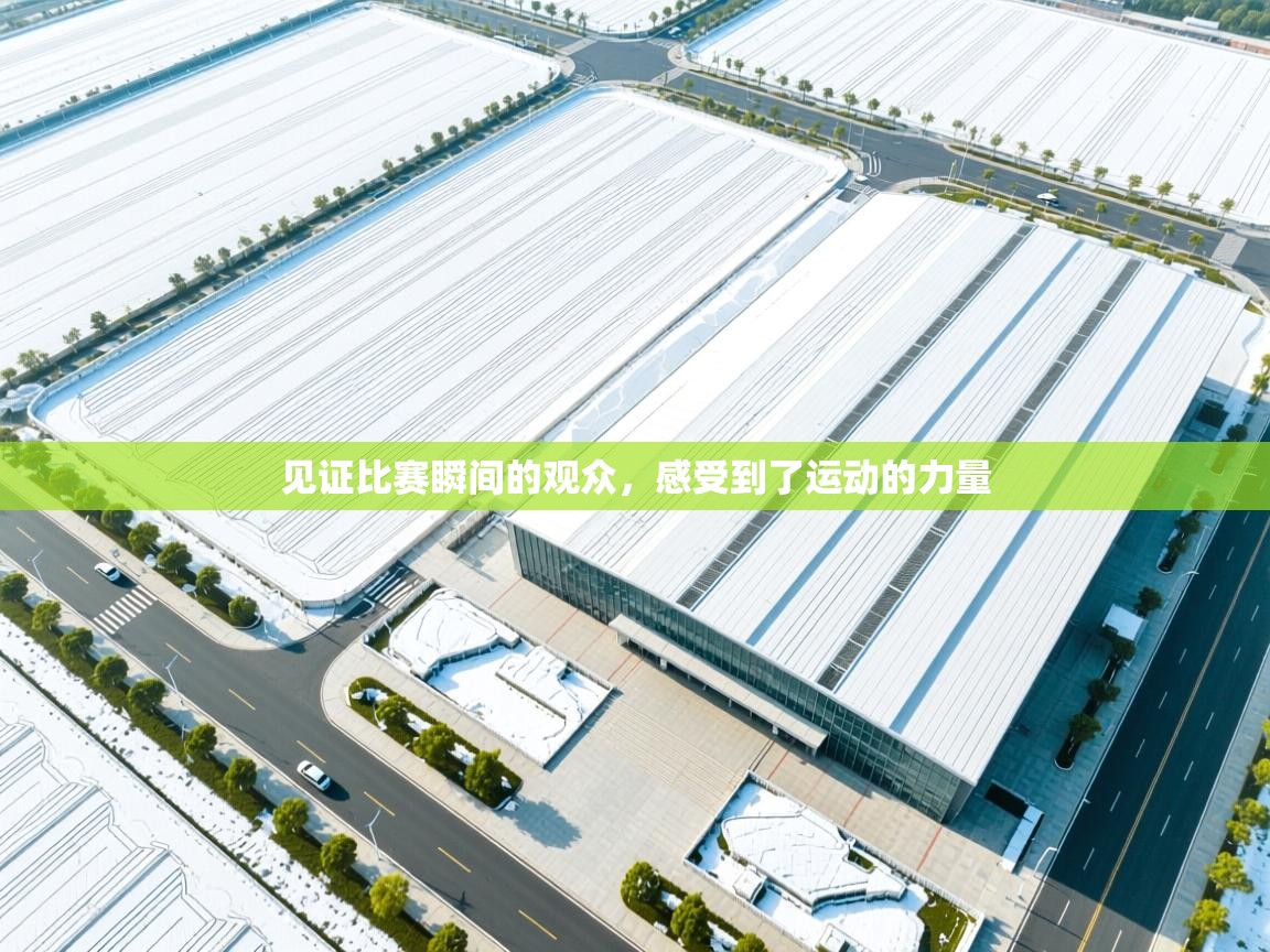 见证比赛瞬间的观众,感受到了运动的力量 第1张